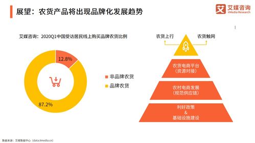 2021年中國農(nóng)產(chǎn)品電商發(fā)展報告 信息咨詢視角
